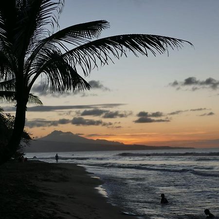 La Villa Caribeenne De La Plage Des Surfeurs La Trinite Luaran gambar