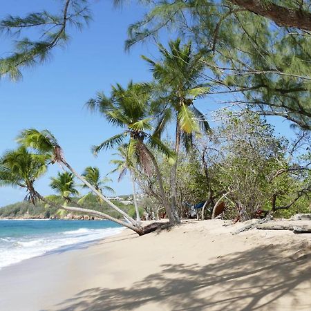 La Villa Caribeenne De La Plage Des Surfeurs La Trinite Luaran gambar