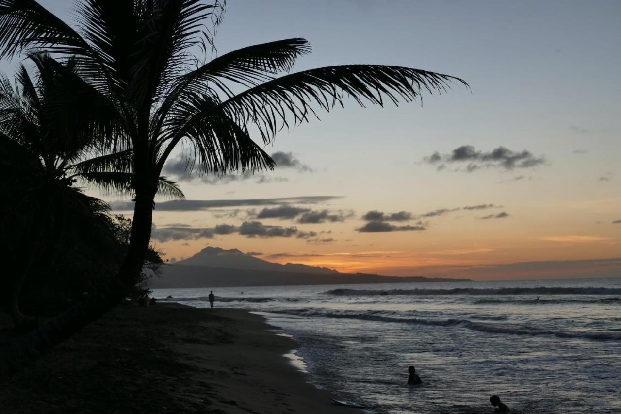 La Villa Caribeenne De La Plage Des Surfeurs La Trinite Luaran gambar