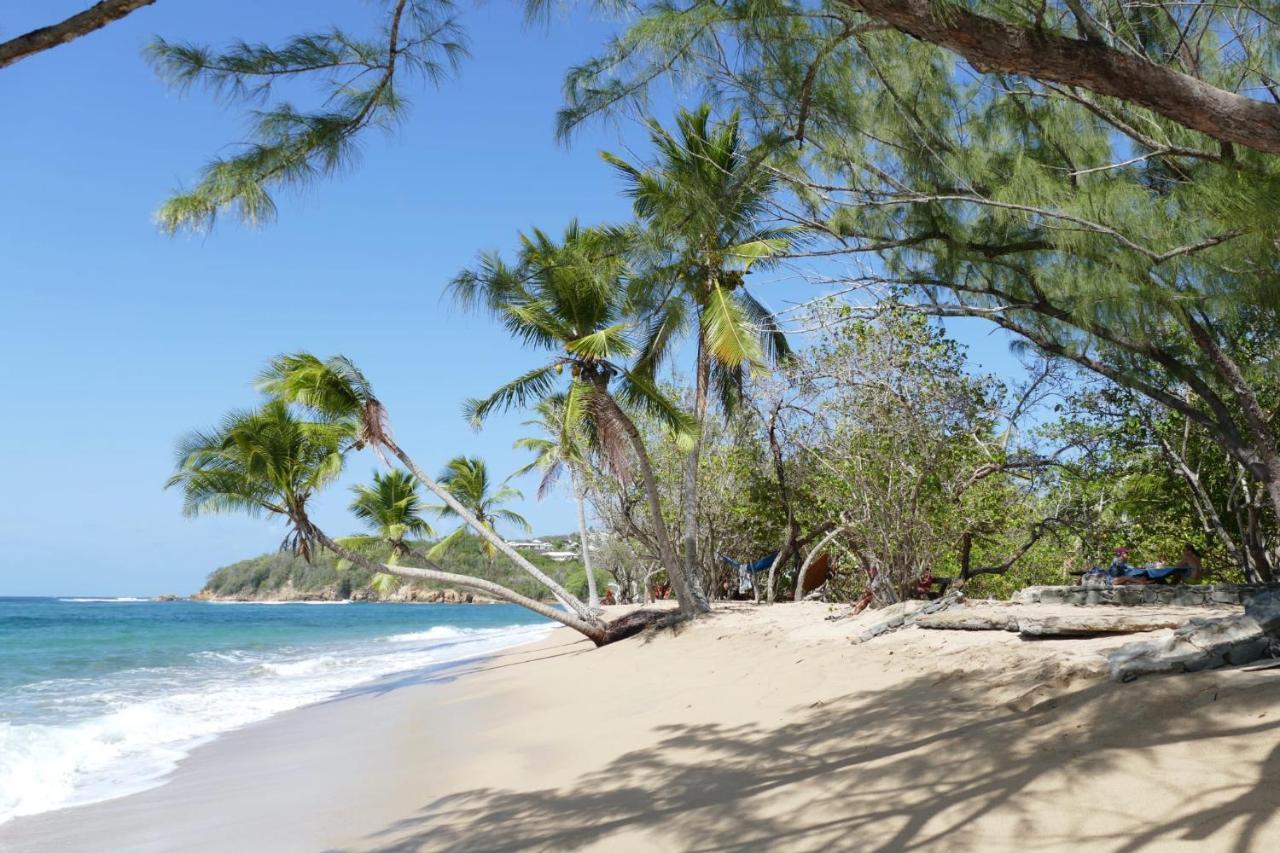 La Villa Caribeenne De La Plage Des Surfeurs La Trinite Luaran gambar
